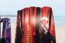 Reedin spaceagency 2025 tail.webp